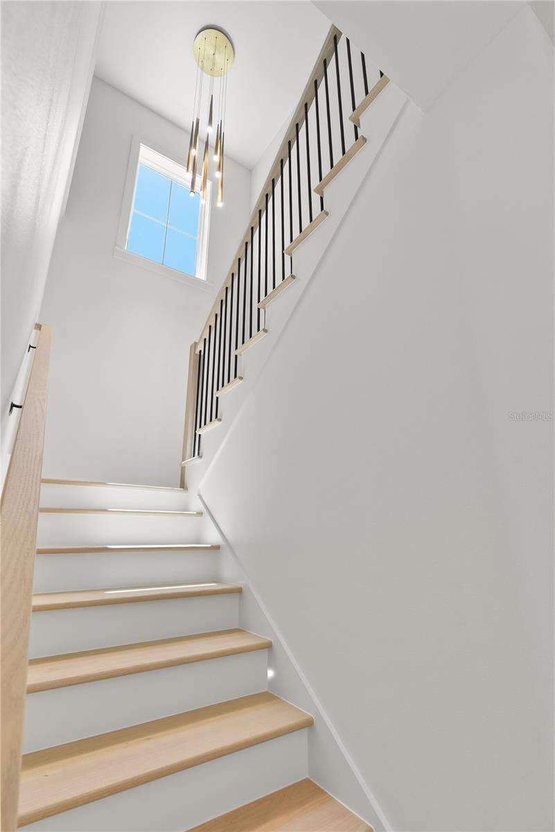 The Euclid Estate –New Construction Luxury Home in St. Petersburg, FL