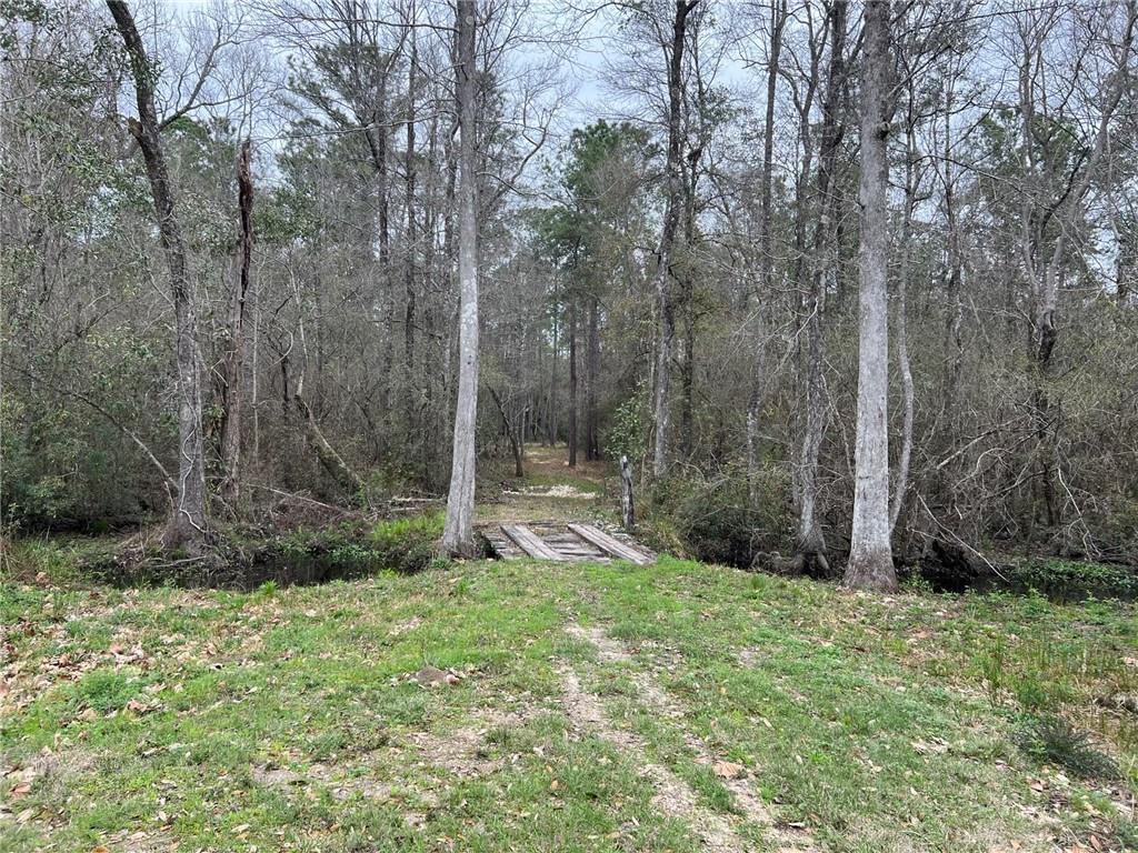 31315 COWART BUSH Road
