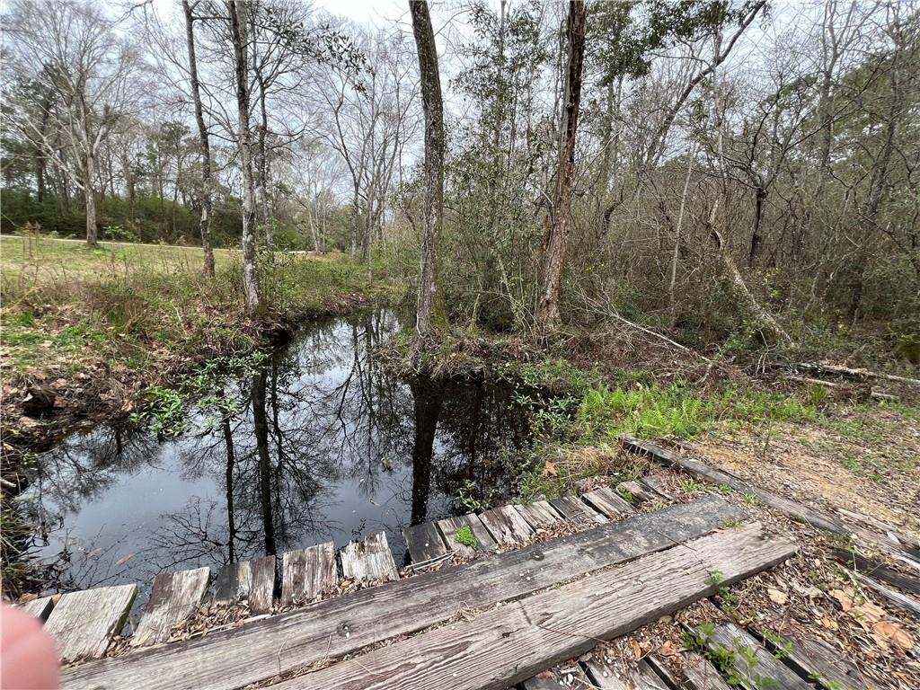 31315 COWART BUSH Road