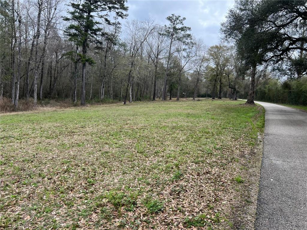 31315 COWART BUSH Road