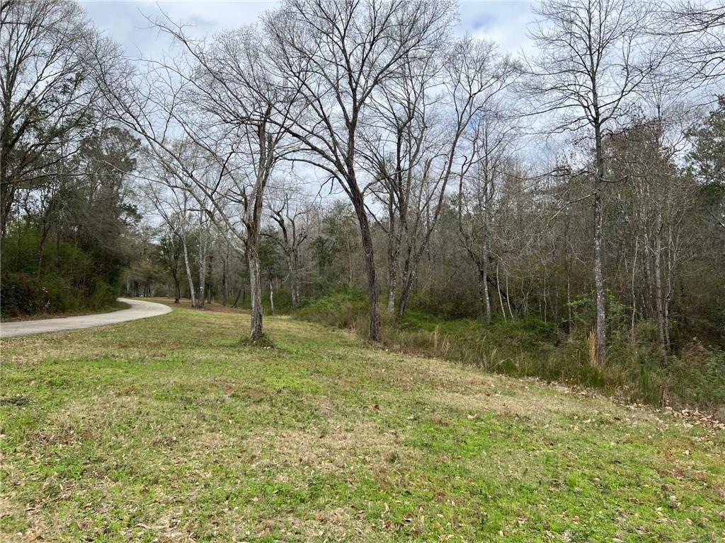 31315 COWART BUSH Road
