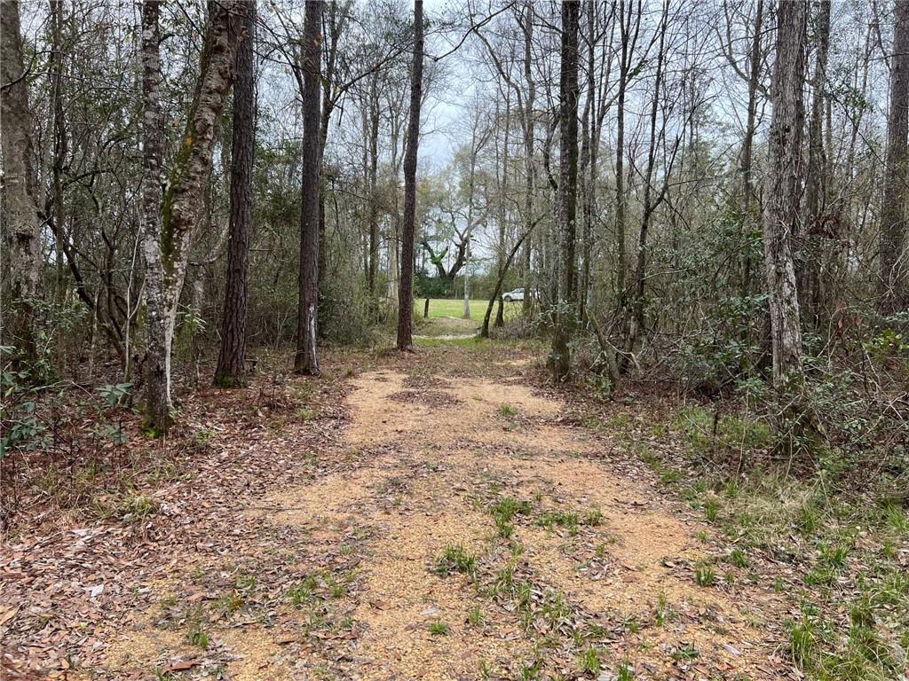 31315 COWART BUSH Road