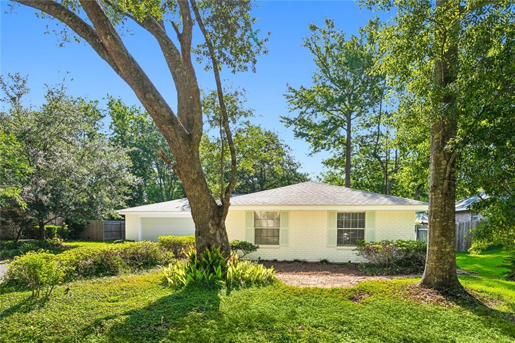 141 LIVE OAK Street