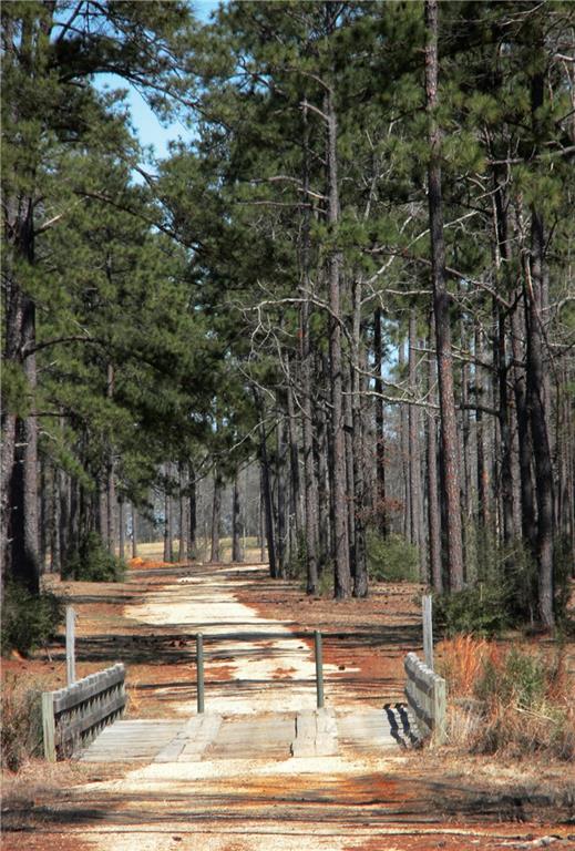 Lot 468 SHADE TREE Court
