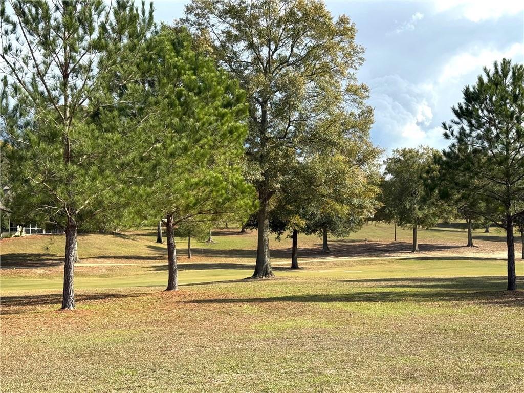 917 GREAT SOUTHERN Drive