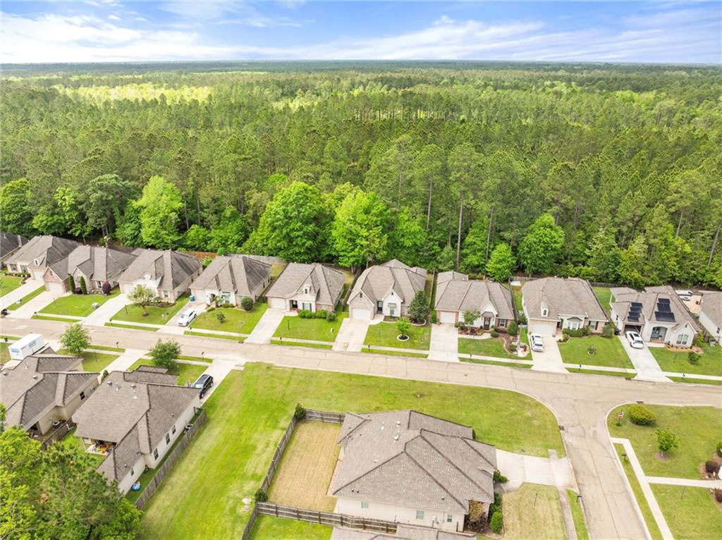 564 BATELEUR Way