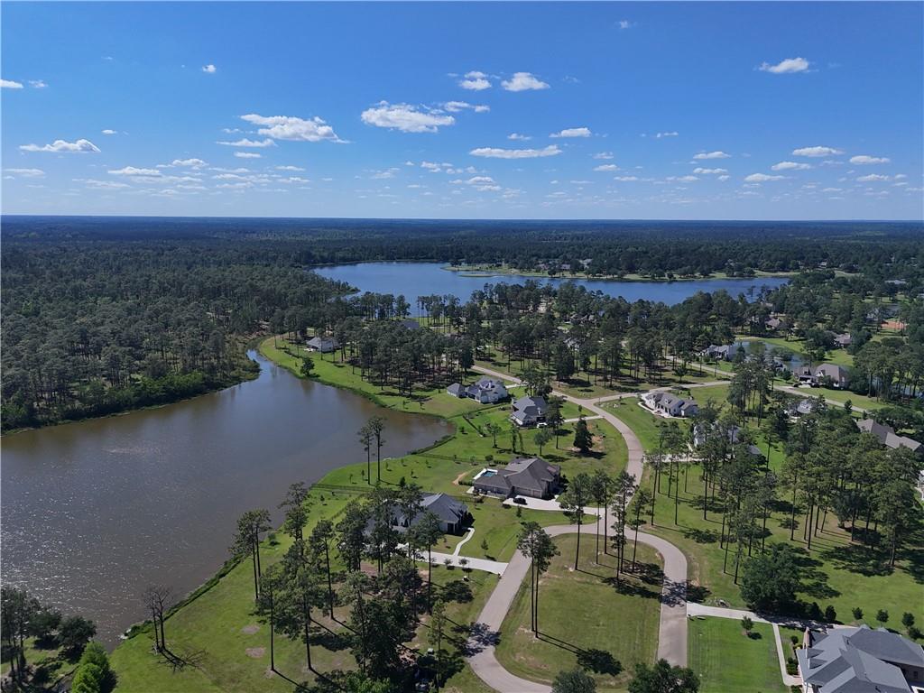 131 HIDDEN LAKE Loop