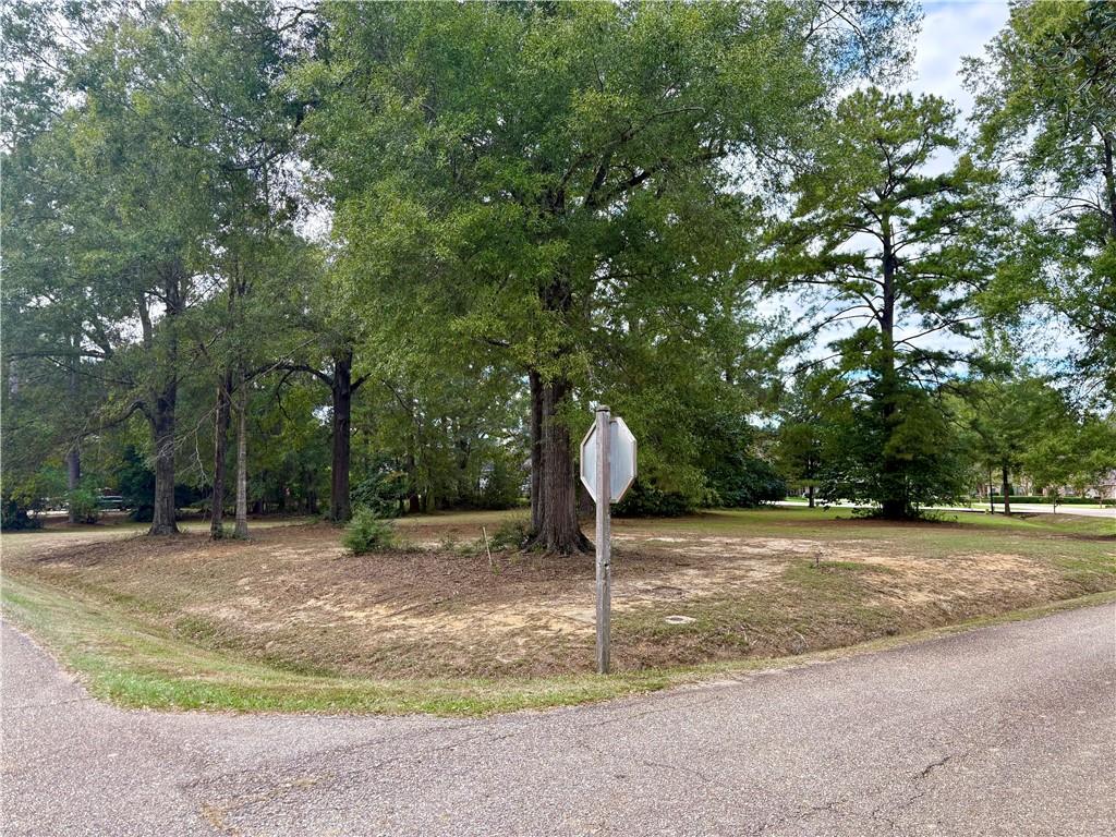 307 CHINAWOOD Drive