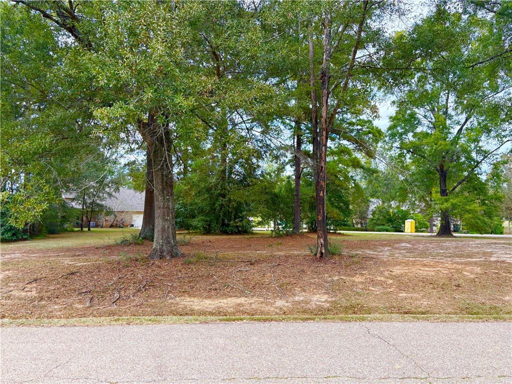 307 CHINAWOOD Drive