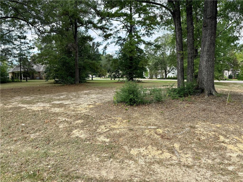307 CHINAWOOD Drive
