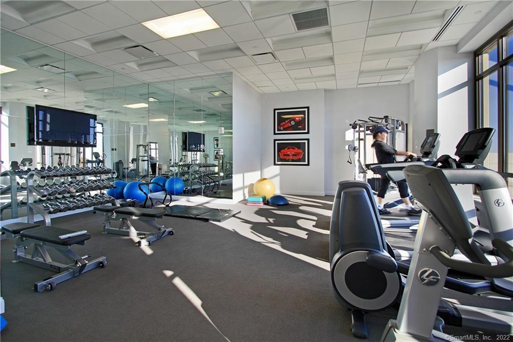 Fitness room with mirrored walls, dumbbells, exercise balls, and cardio machines beside large windows.