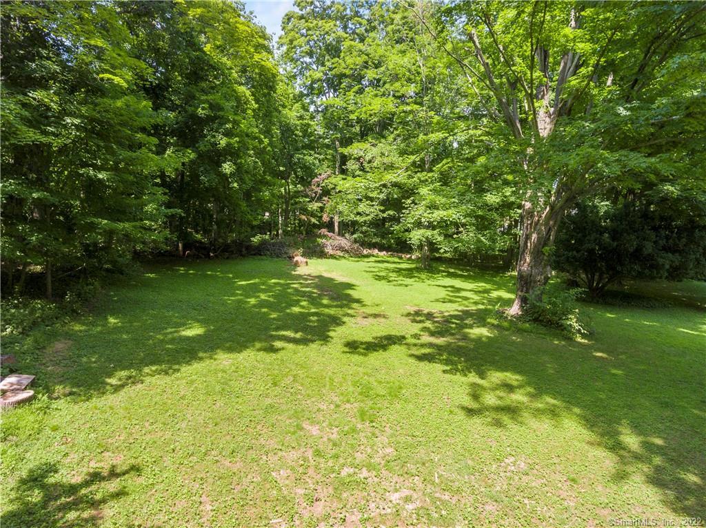 Sunlit lawn bordered by mature trees, with a small dog near the center.