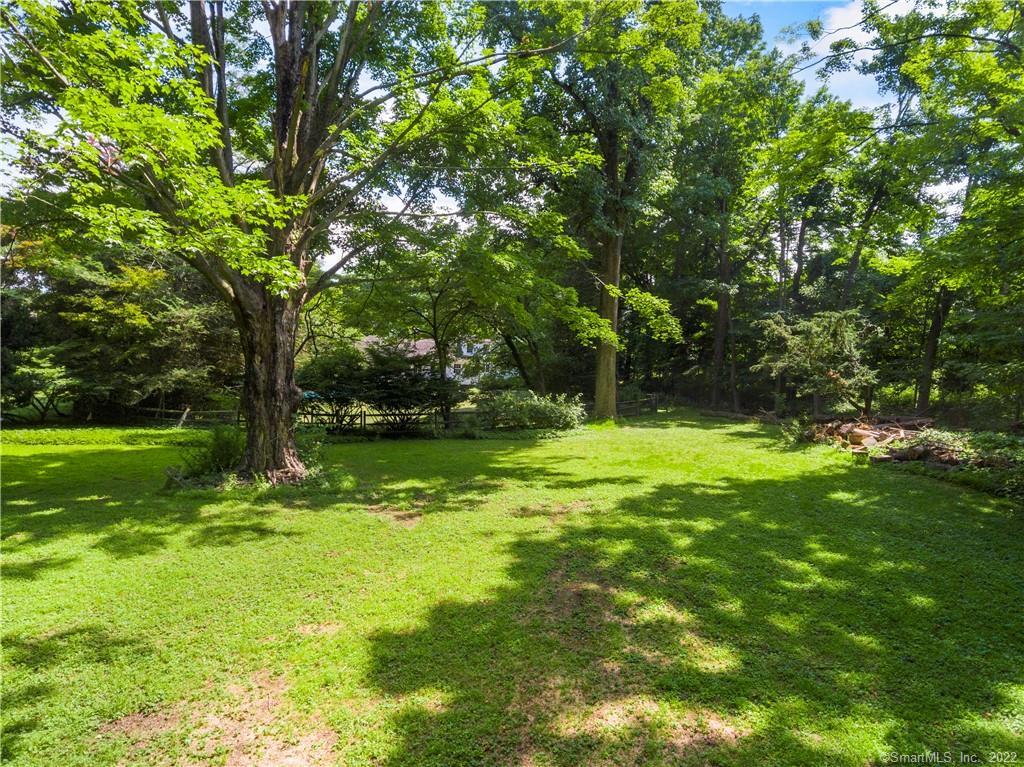 Tree-lined backyard with a broad lawn, dappled sunlight, and dense woods along the perimeter.