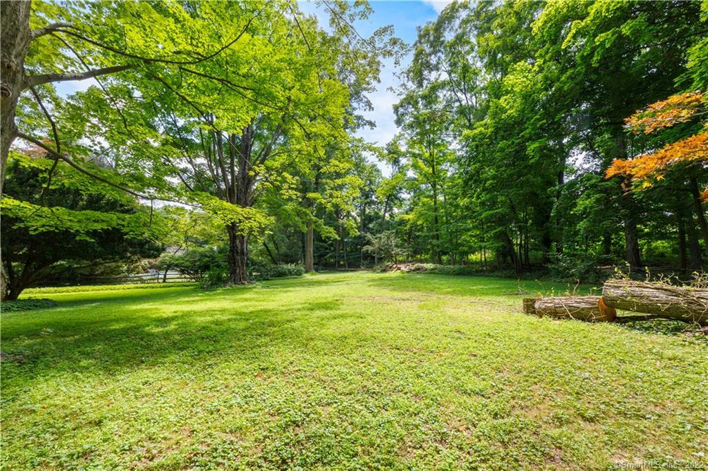 Tree-lined lawn with a broad grassy clearing and stacked logs at the edge.