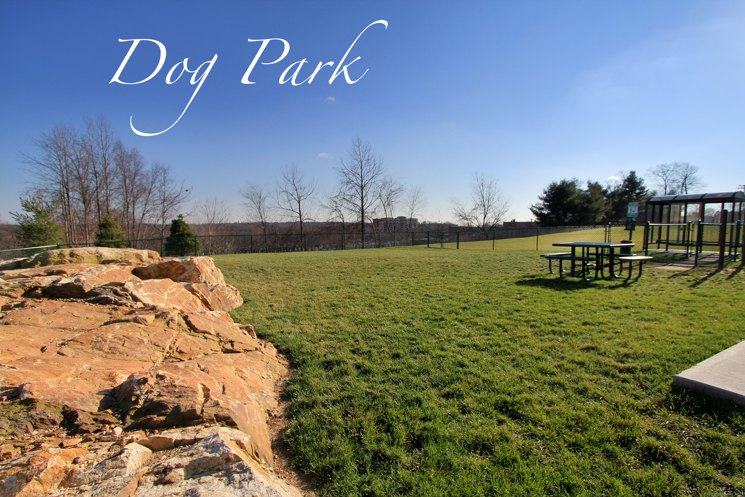 100 Parrott Drive 1404