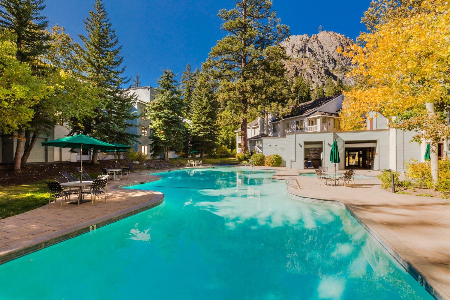 201 Shirley Canyon Road Unit: 709