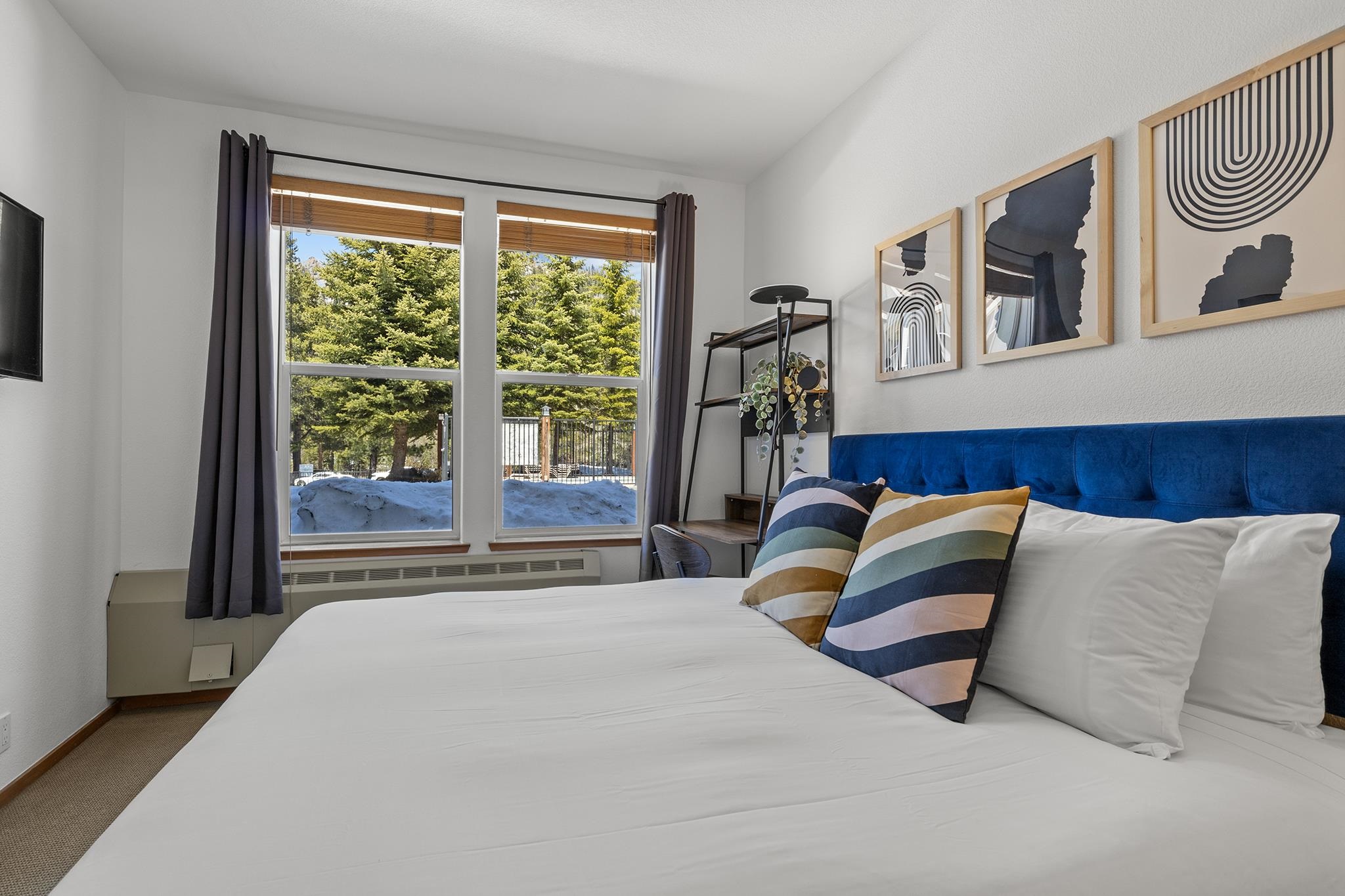201 Shirley Canyon Road Unit: 709