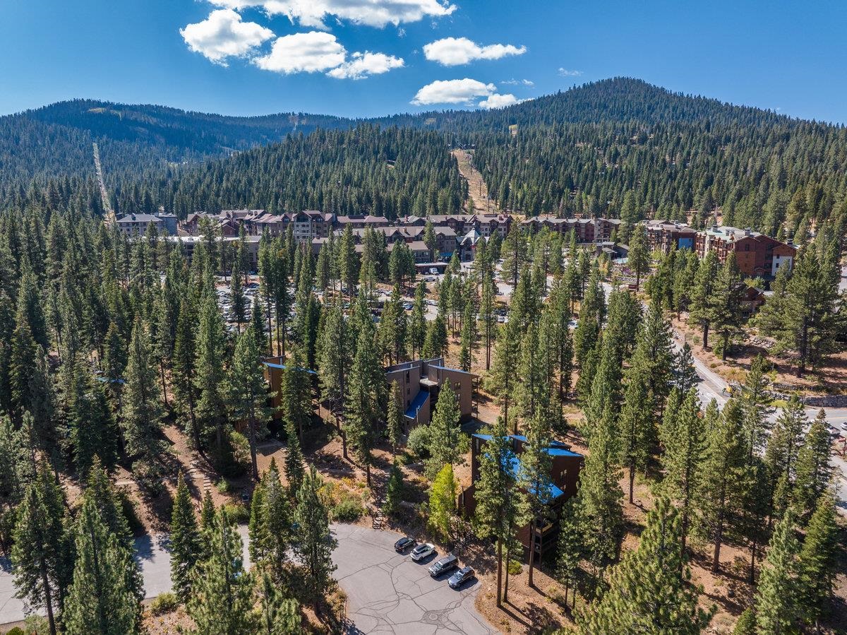 3165 Aspen Grove