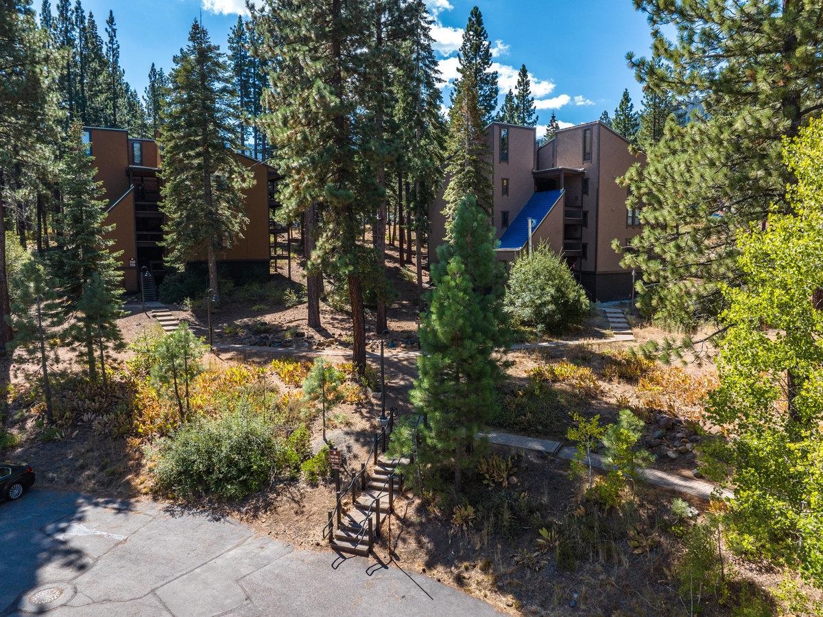 3165 Aspen Grove