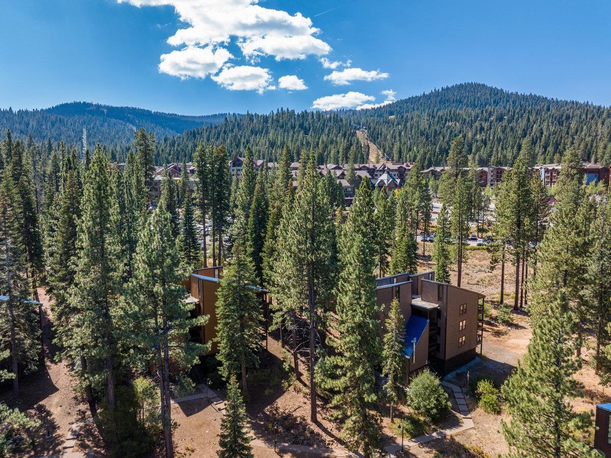 3165 Aspen Grove