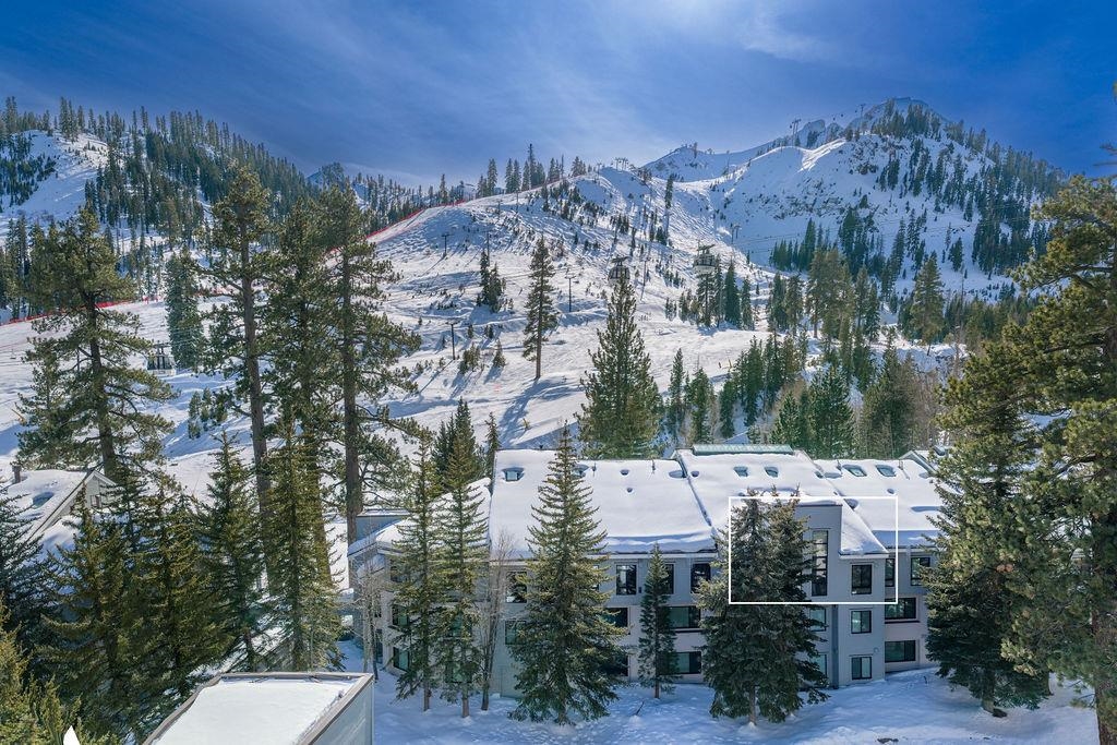201 Shirley Canyon Road Unit: 309