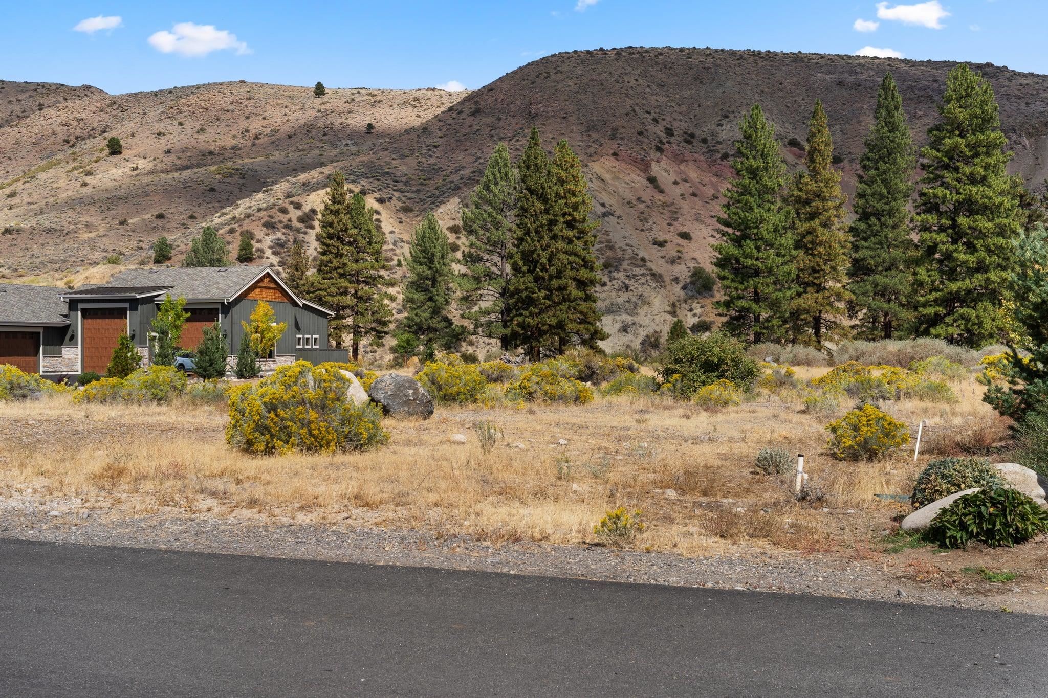 375 River Pines Drive