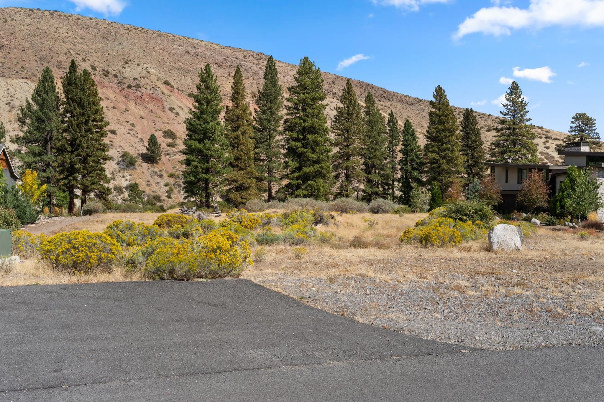 375 River Pines Drive