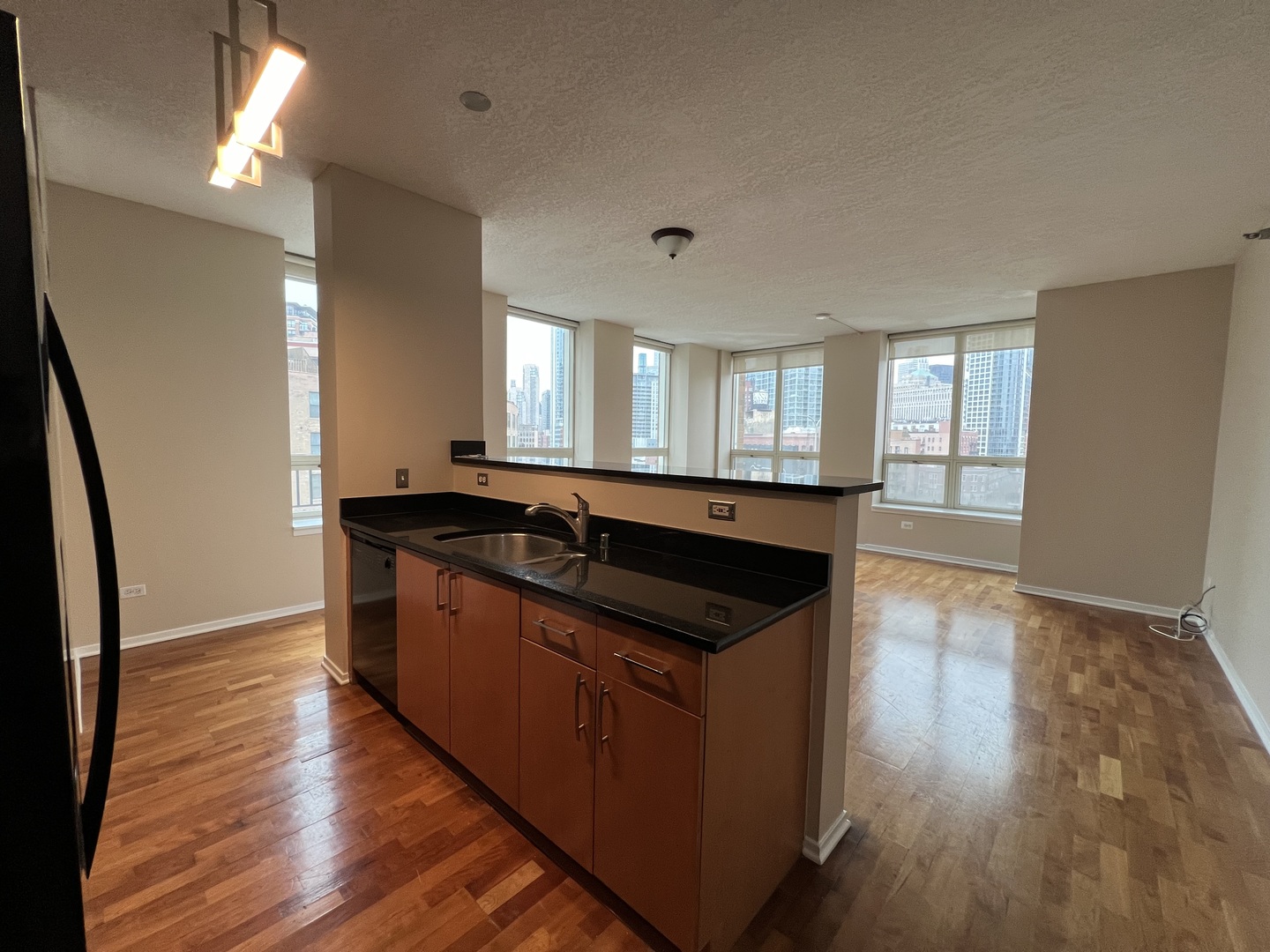 600 N Kingsbury Street Unit: 703