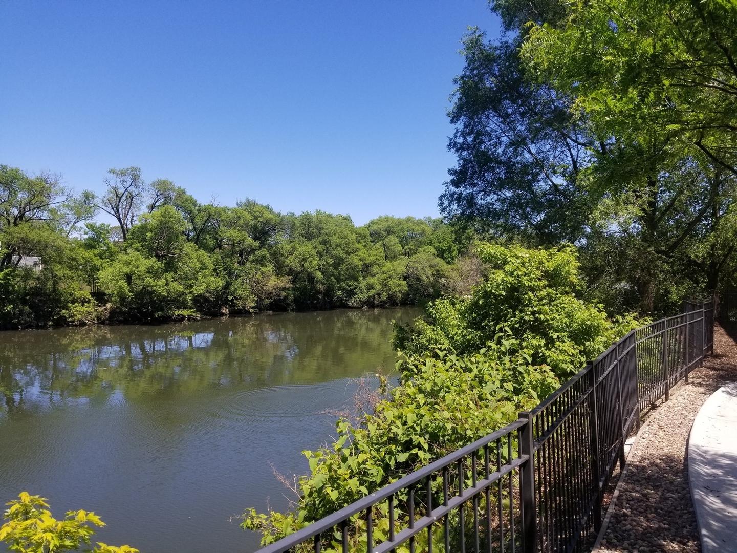 2911 N Western Avenue Unit: 208