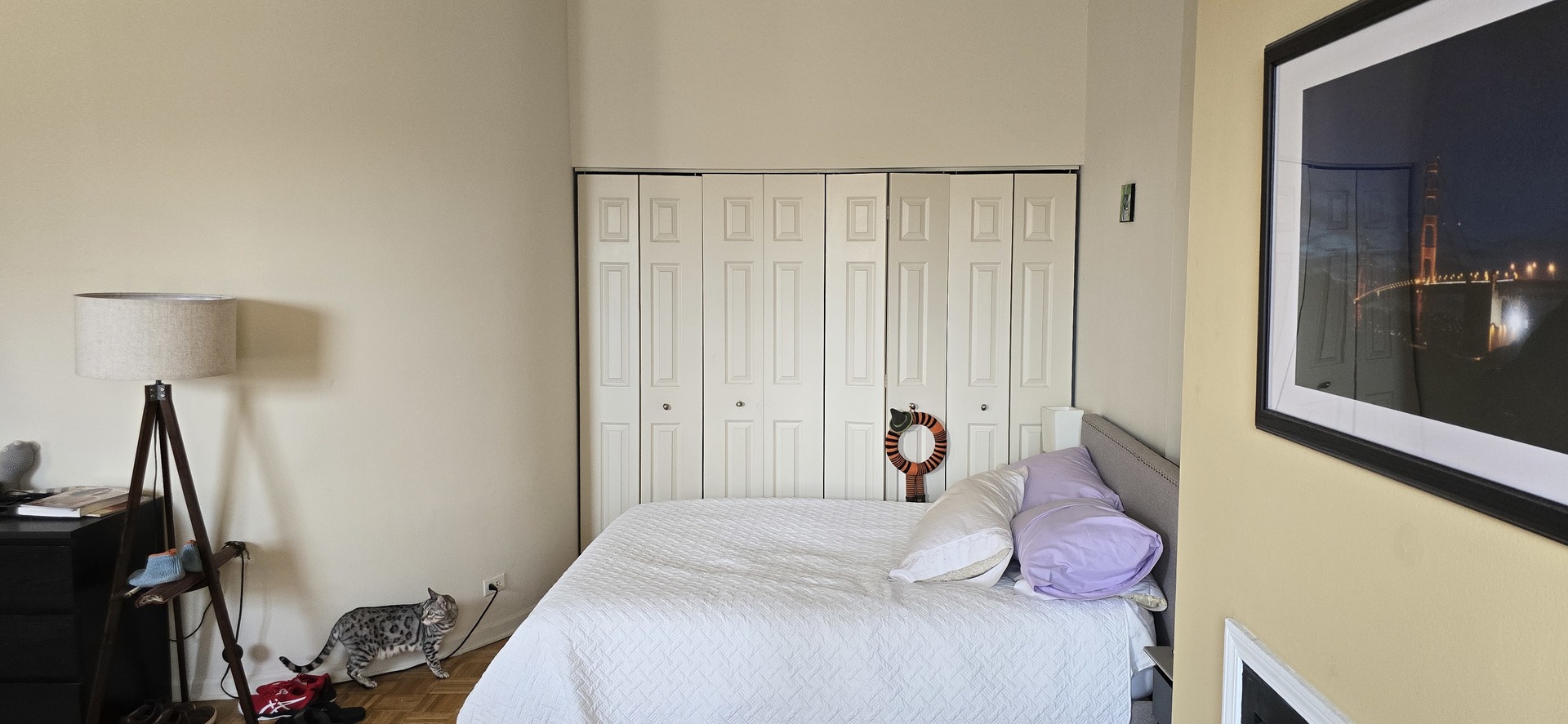 3751 N Halsted Street Unit: 215