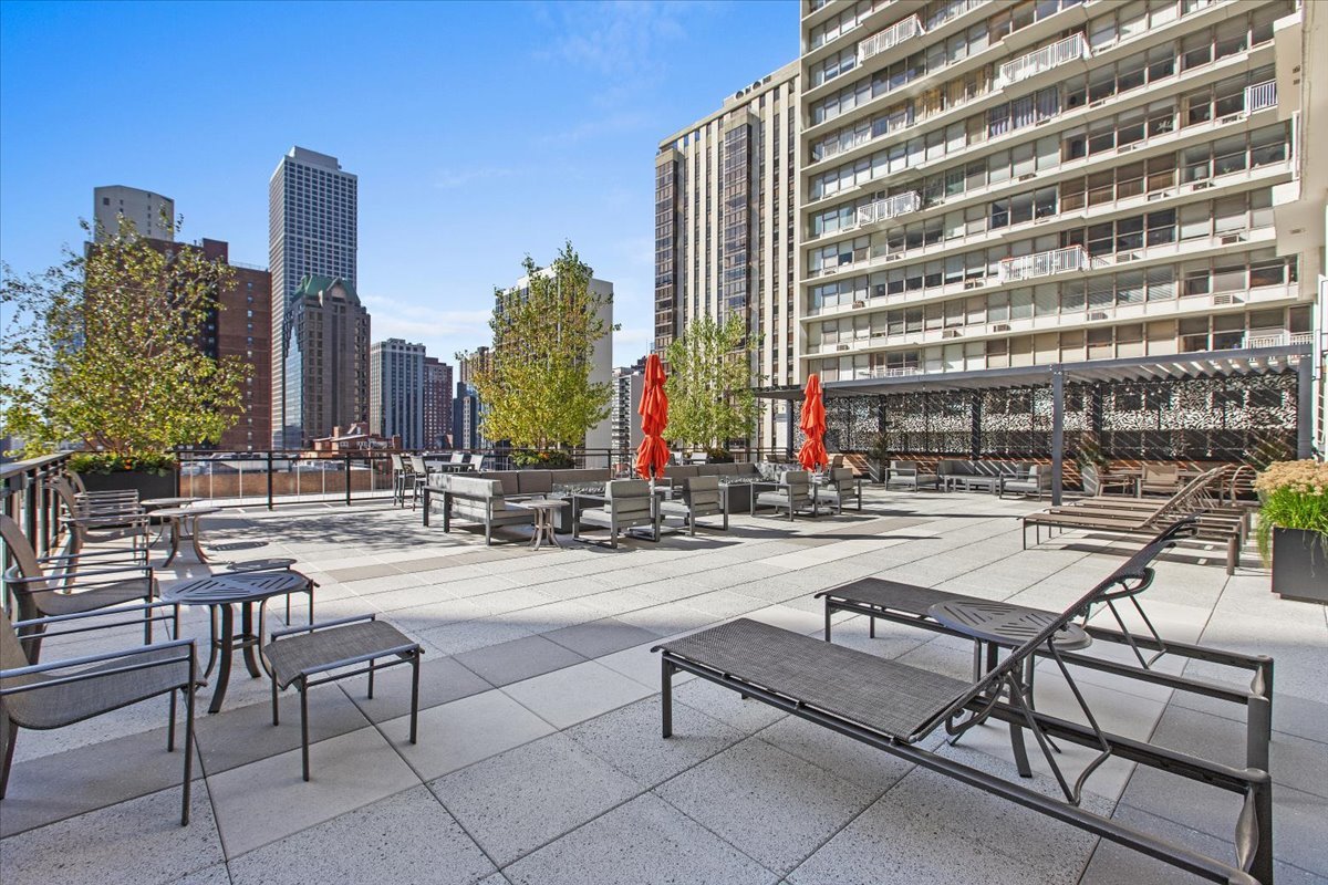 1000 N Lake Shore Plaza Unit: 20C