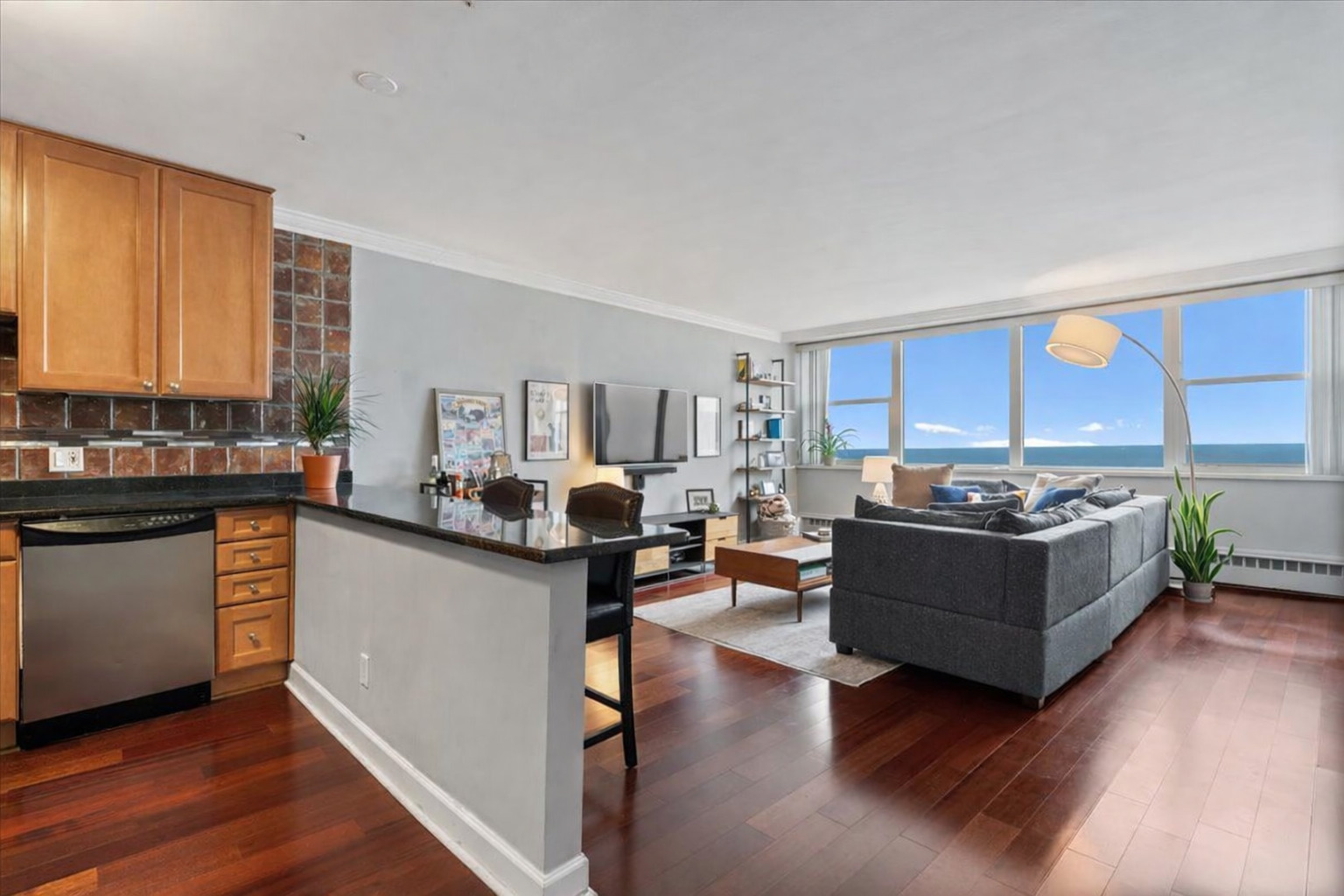 1150 N Lake Shore Drive Unit: 20C