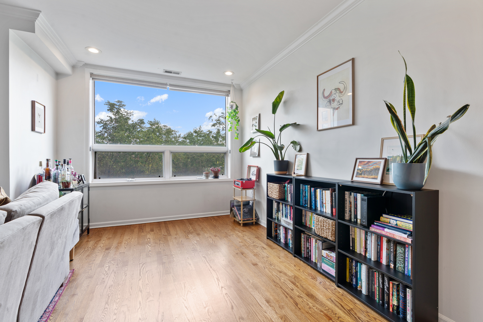 934 W Cuyler Avenue Unit: 3D