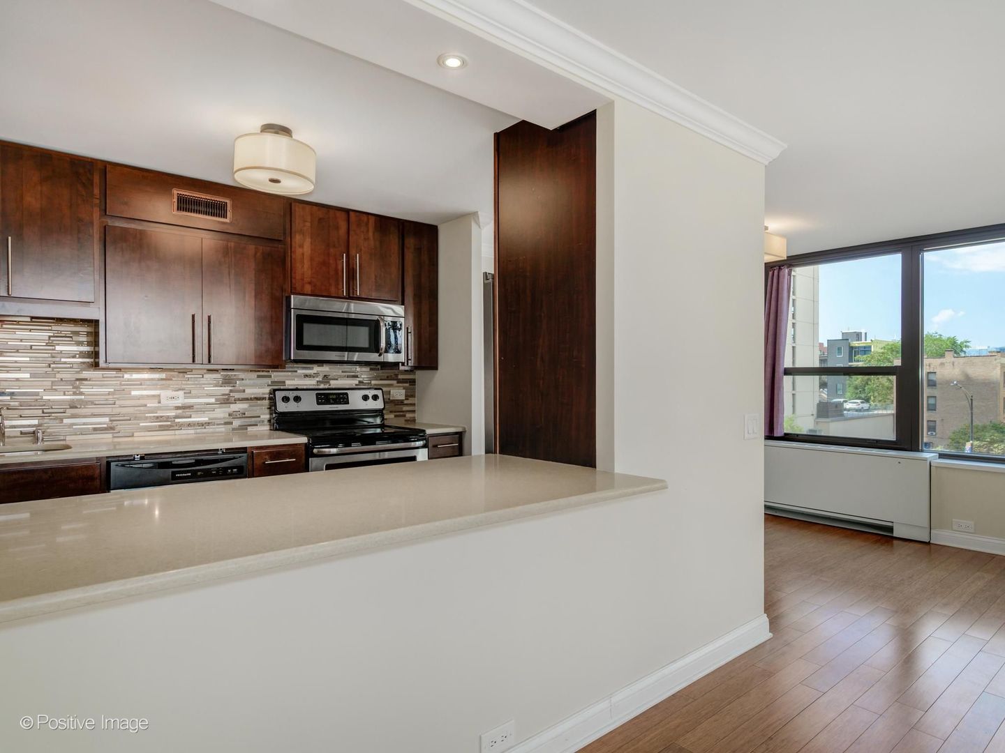 1560 N Sandburg Terrace Unit: 415J