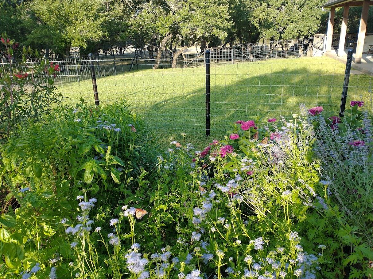 1440 Deerfield RD, Dripping Springs