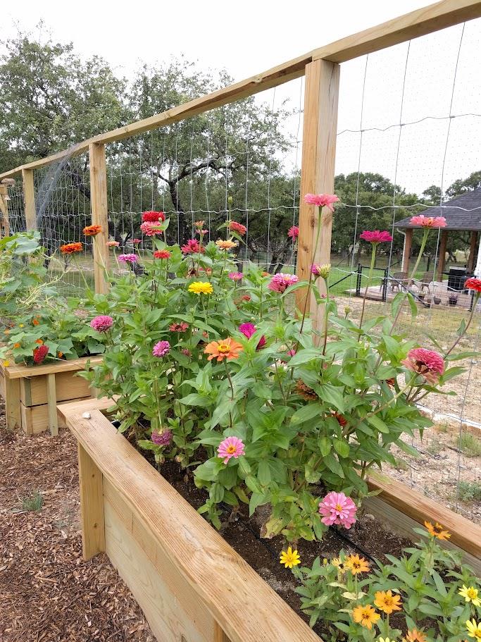 1440 Deerfield RD, Dripping Springs