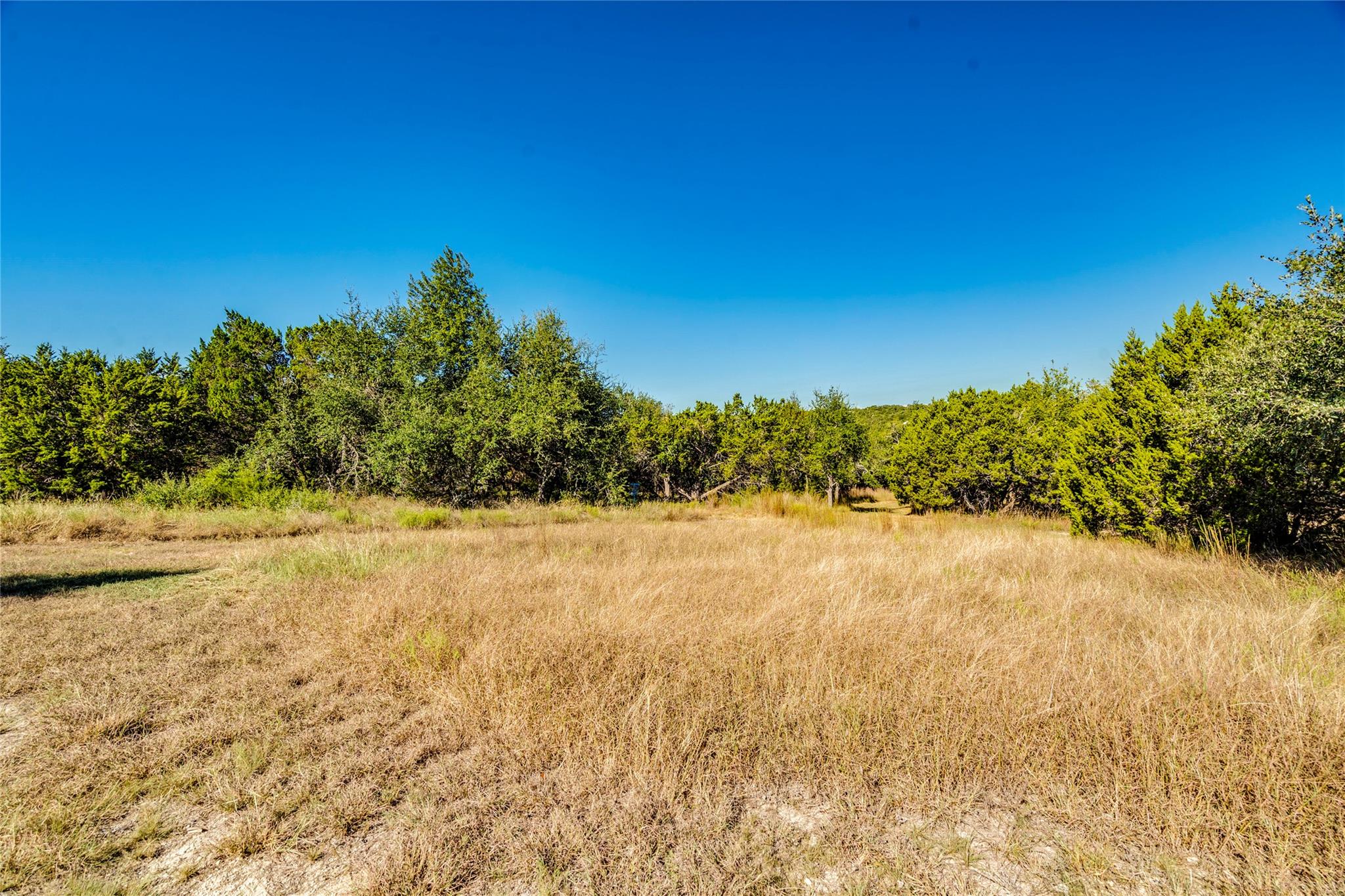 631 Harmon Hills CV