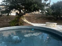 631 Harmon Hills CV