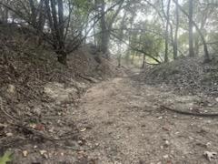 631 Harmon Hills CV