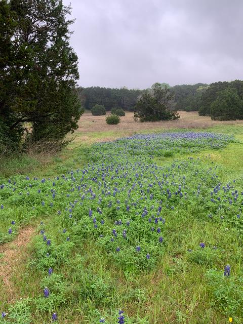 8400 Blazyk DR