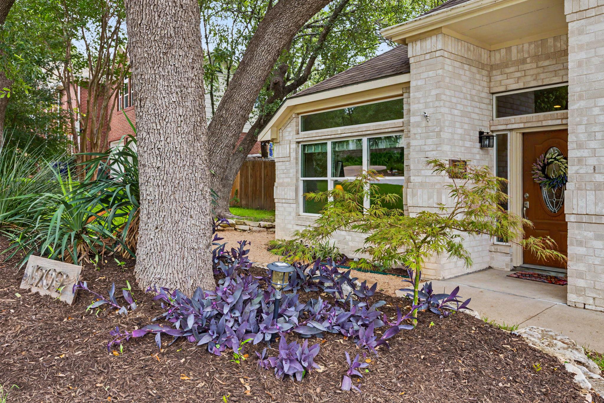 Light stone house entrance framed by large trees and purple garden plants.