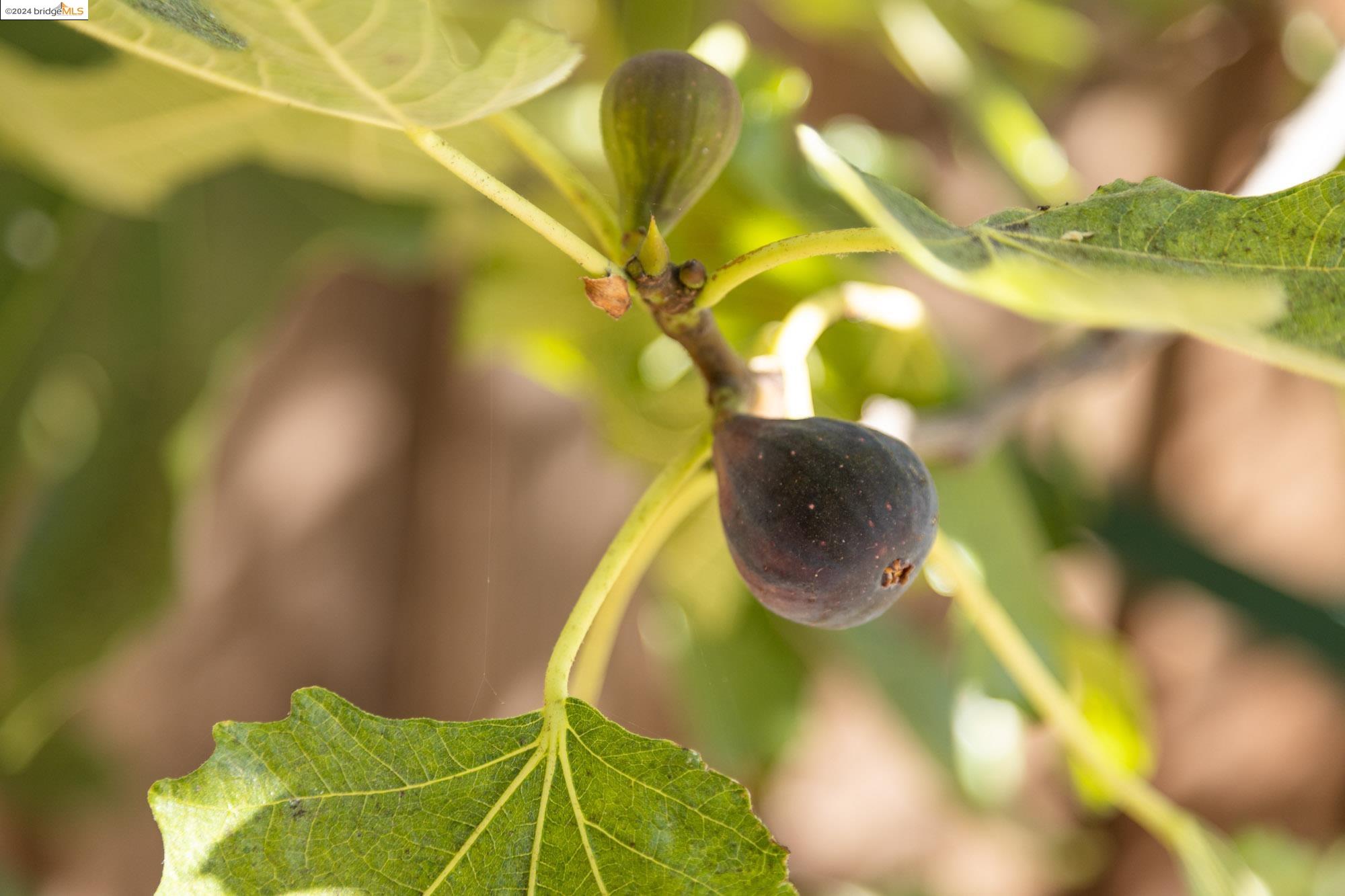 548 56Th St, Oakland