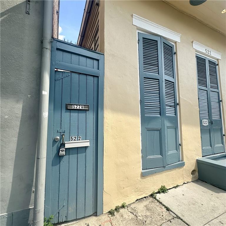 522 DAUPHINE Street Rear