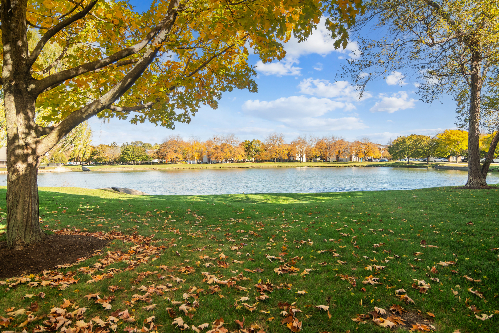 1316 Evergreen Drive Unit: 7