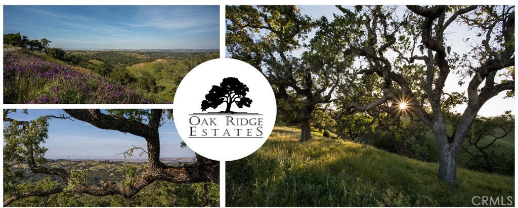 12715 Escabroso Court