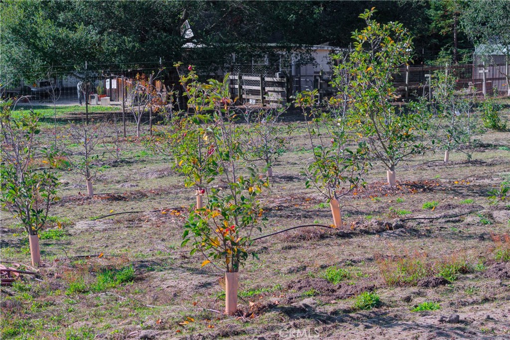 1592 Deer Canyon Road