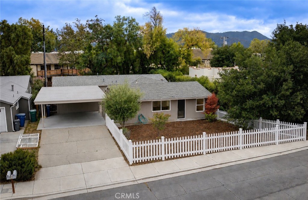 1544 Oak