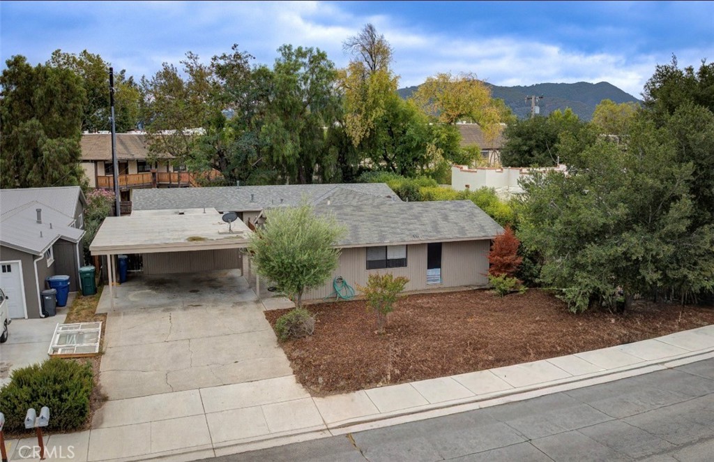 1544 Oak