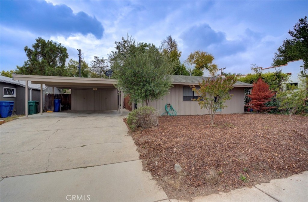 1544 Oak