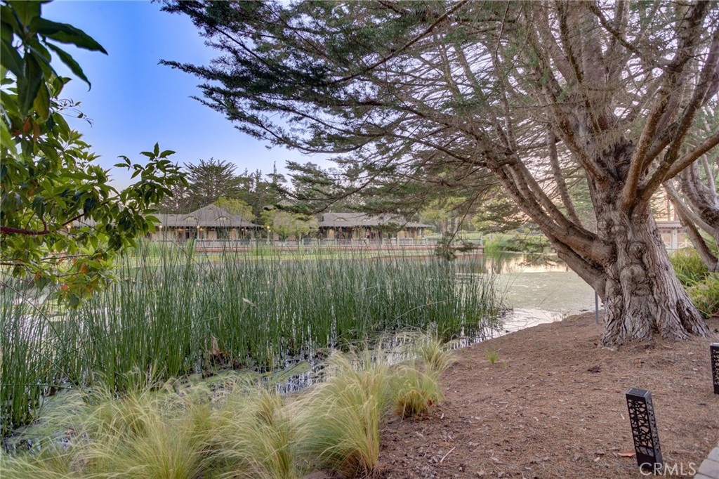 2303 Sanderling Court